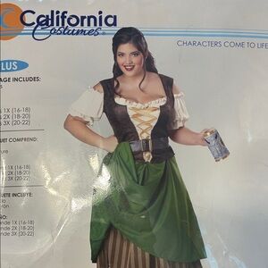 California Costumes Medieval Ensemble